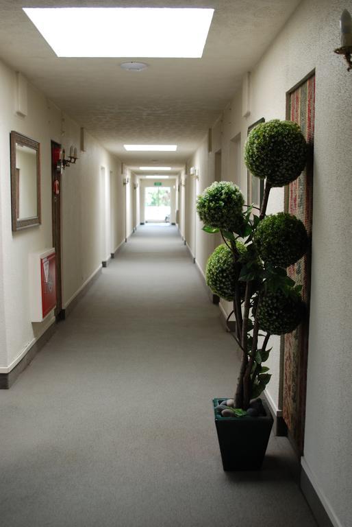 Fountain City Motor Inn Hamilton Luaran gambar